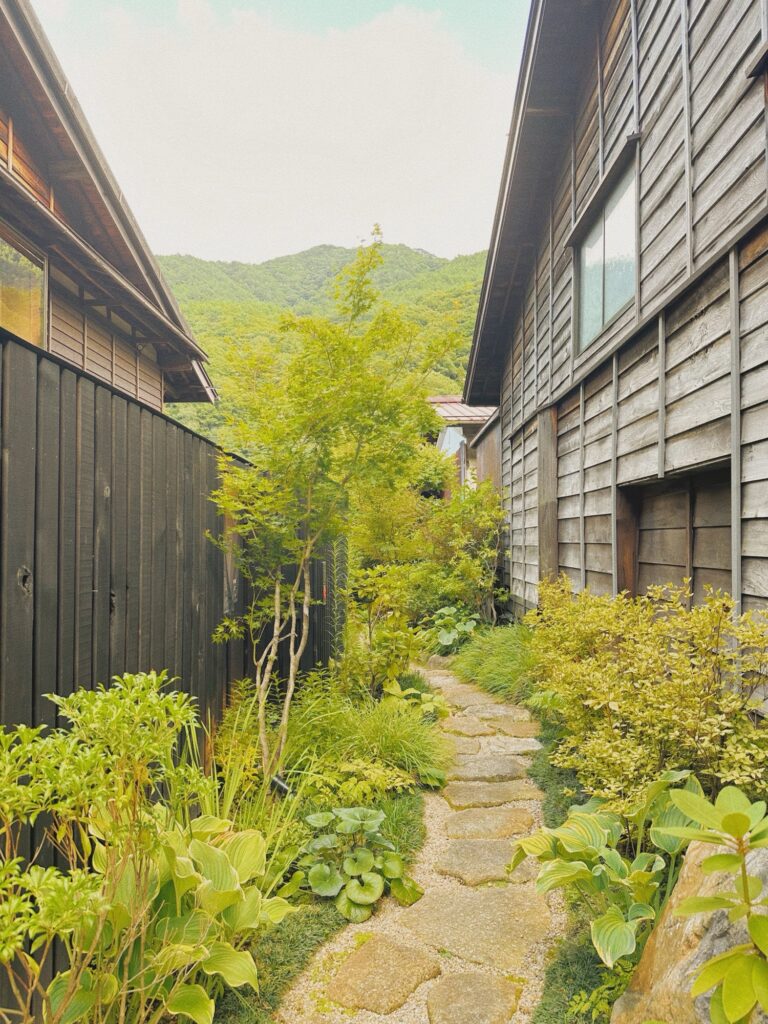 BYAKU Naraiの写真