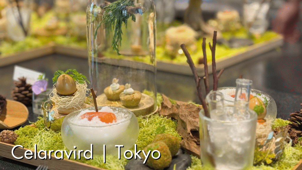 セララバアドのアイチャッチ画像